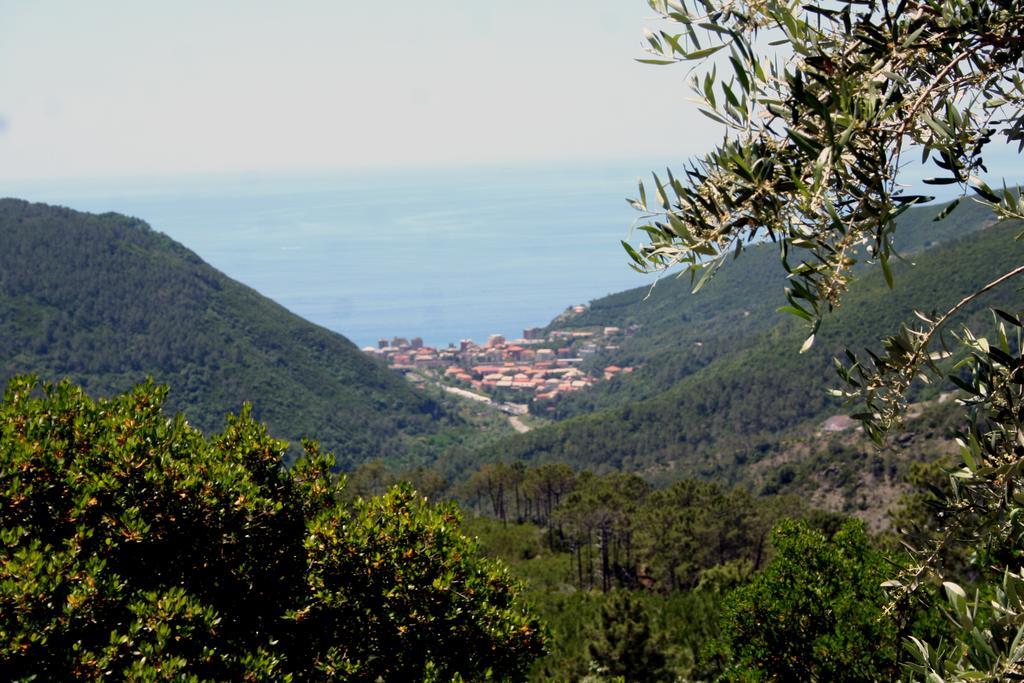 Hotel 5 Terre Nel Sole Deiva Marina Exterior foto